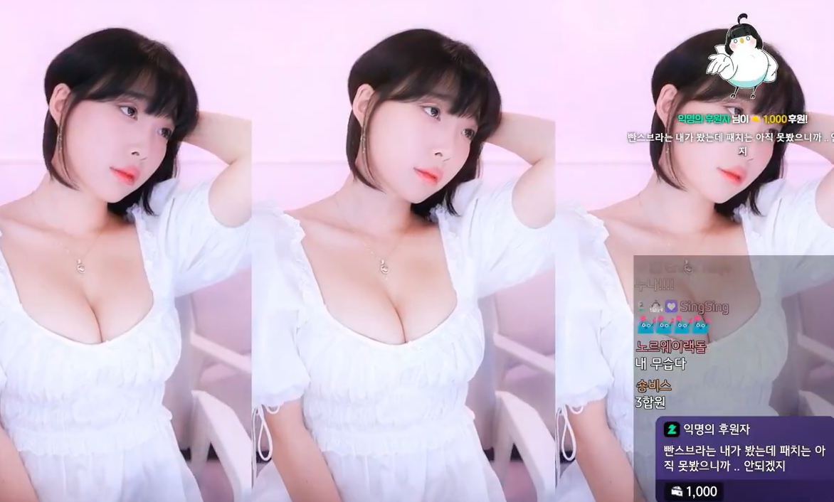 여캠/벗방